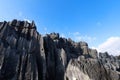 The Stone Forest in Yunnan. This is a limestone formations located in Shilin Karst area, Yunnan, China