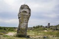 The Stone Forest - Pobiti Kamani and Dikilitash, Bulgaria Royalty Free Stock Photo