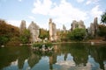 stone forest Royalty Free Stock Photo