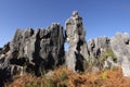 Stone forest shilin yunnan province china