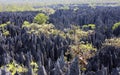 Stone forest, Tsingy de Bemaraha, calcareous rock, Madagascar