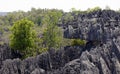 Stone forest, Tsingy de Bemaraha, calcareous rock, Madagascar