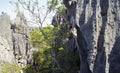 Stone forest, Tsingy de Bemaraha, calcareous rock, Madagascar