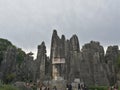 Stone Forest in Yunnan, China, is the most famous angle