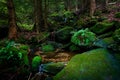 Stone formation in the mountains - stream in the forest