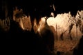 The stone formation in Postojna Caves ,Slovenian- Postojnska jama.