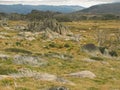 Stone formations in alpine meadow Royalty Free Stock Photo