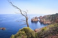 Stone Formations at the peninsula Cap du Dramont near Frejus, France Royalty Free Stock Photo