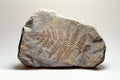 Stone with fossilized fern imprint. Generative AI. Royalty Free Stock Photo