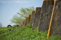 Stone foundations from ruins on green grass go into linear perspective against background of alone tree Royalty Free Stock Photo