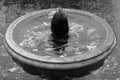 Stone fountain in black and white Royalty Free Stock Photo