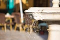 Stone fountain from which crystal clear water spurts out of a non-human head. Seville, Spain