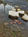 Stone fragments submerged in water