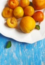 Stone fruits on plate. Yellow plums, apricots and nectarines Royalty Free Stock Photo