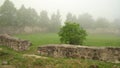 Stone fundamentals in a place of medieval castle ruins