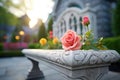 stone garden bench with rose bushes Royalty Free Stock Photo