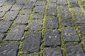 Stone garden path with moss Royalty Free Stock Photo