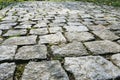 Stone garden path with moss in early morning light Royalty Free Stock Photo