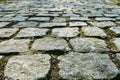 Stone garden path with moss in early morning light Royalty Free Stock Photo