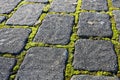 Stone garden path with moss Royalty Free Stock Photo