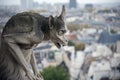 Stone gargoyle overlooking Paris from the Notre Dame Royalty Free Stock Photo