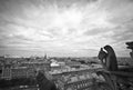 Stone Gargoyles of Notre Dame Royalty Free Stock Photo