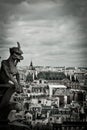 Stone Gargoyles of Notre Dame Royalty Free Stock Photo