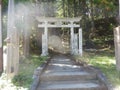 Stone tori gate