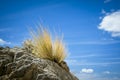 Stone grass blue sky