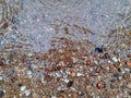 Stone and gravel in river, water scenery, with long exposure surreal abstract view of a woodland