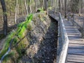 Boardwalk alongside natural stone water channel in forest