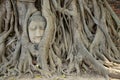 Stone head of buddha in root tree of Wat Mahathat Royalty Free Stock Photo