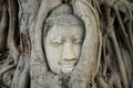 Stone head of buddha in root tree of Wat Mahathat Royalty Free Stock Photo