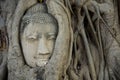 Stone head of buddha in root tree of Wat Mahathat Royalty Free Stock Photo