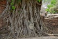 Stone head of buddha in root tree of Wat Mahathat Royalty Free Stock Photo