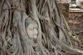 Stone head of buddha in root tree of Wat Mahathat Royalty Free Stock Photo