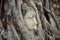 Stone head of buddha in root tree of Wat Mahathat Royalty Free Stock Photo