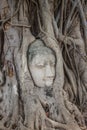 Stone head of buddha in root tree of Wat Mahathat Royalty Free Stock Photo