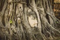 Stone head of Buddha surrounded by tree`s roots in Wat Prha Mahathat Temple in Ayutthaya, Thailand