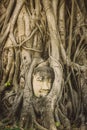 Stone head of Buddha surrounded by tree`s roots in Wat Prha Mahathat Temple in Ayutthaya, Thailand Royalty Free Stock Photo