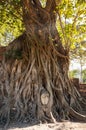 A stone head of Buddha in Wat Prha Mahathat Temple Royalty Free Stock Photo