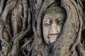 Stone Head Buddha in tree root Royalty Free Stock Photo