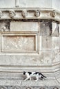 Stone head, detail of the St. James Cathedral, Sibenik