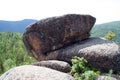 Stone head sheep