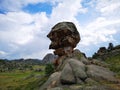 Stone head in the wild ..