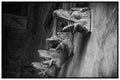 Stone heads of gryphons on Piazza Vecchia, aka Old Square of Bergamo, Italy