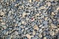 stone heart painted with a red paint marker on the pebble as a gift for Saint Valentine day on the pebble background Royalty Free Stock Photo