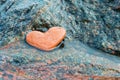 Stone heart, heart-shaped sea stone Royalty Free Stock Photo