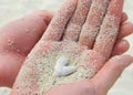 stone heart white sand in hands Royalty Free Stock Photo
