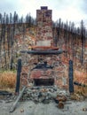 Stone Hearth And Chimney After A Wildfire